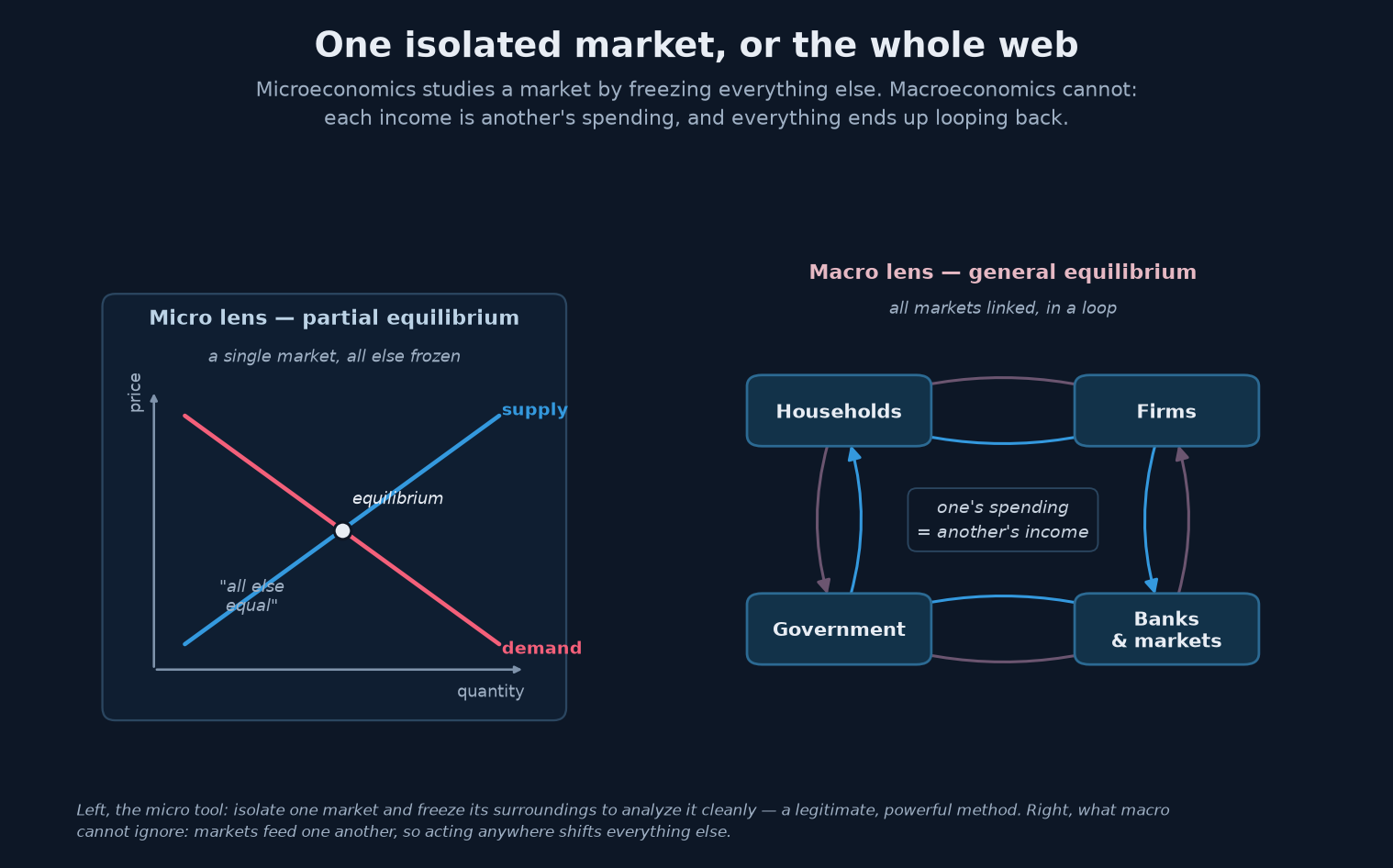 Two lenses side by side: on the left, the micro lens in partial equilibrium — a single market shown as the crossing of a supply curve and a demand curve, all the rest frozen, all else being equal; on the right, the macro lens in general equilibrium — a web linking, by arrows, households, firms, banks and markets, and government, where one's spending is another's income.