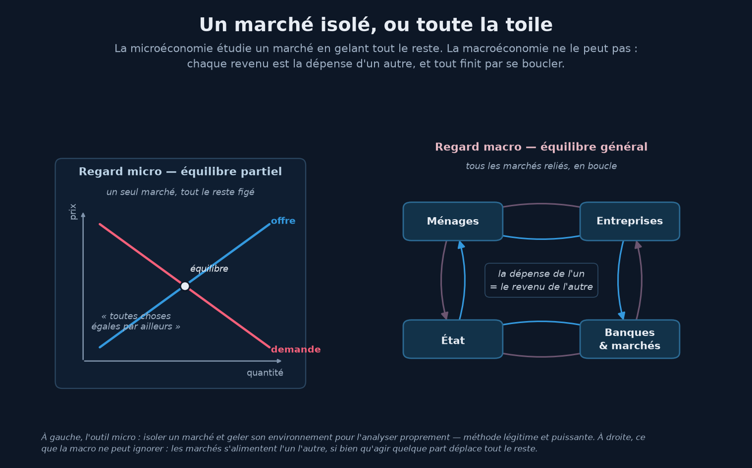 Deux regards côte à côte : à gauche, le regard micro en équilibre partiel — un seul marché représenté par le croisement d'une courbe d'offre et d'une courbe de demande, tout le reste étant figé, toutes choses égales par ailleurs ; à droite, le regard macro en équilibre général — une toile reliant par des flèches les ménages, les entreprises, les banques et les marchés, et l'État, où la dépense de l'un est le revenu de l'autre.