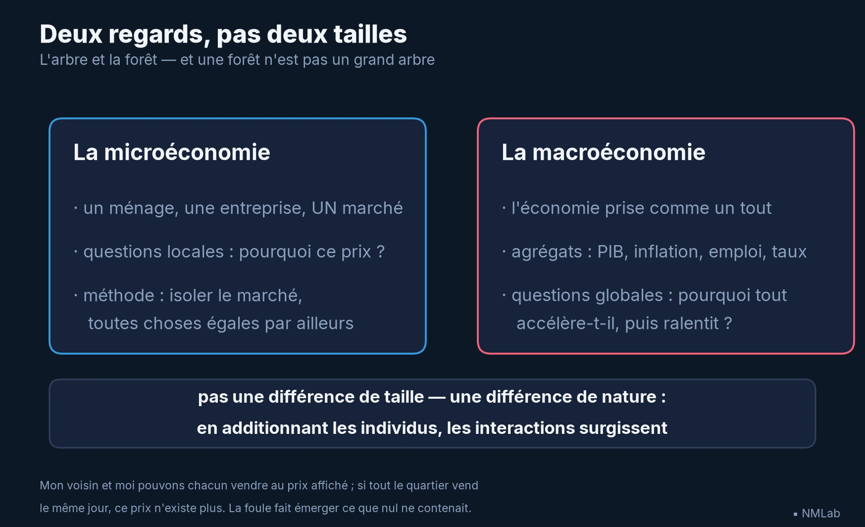 Deux cartes comparant microéconomie (décisions individuelles, marchés isolés) et macroéconomie (agrégats, interactions)