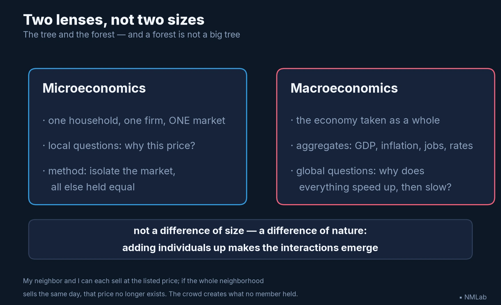 Two cards comparing microeconomics (individual decisions, single markets) and macroeconomics (aggregates, interactions)