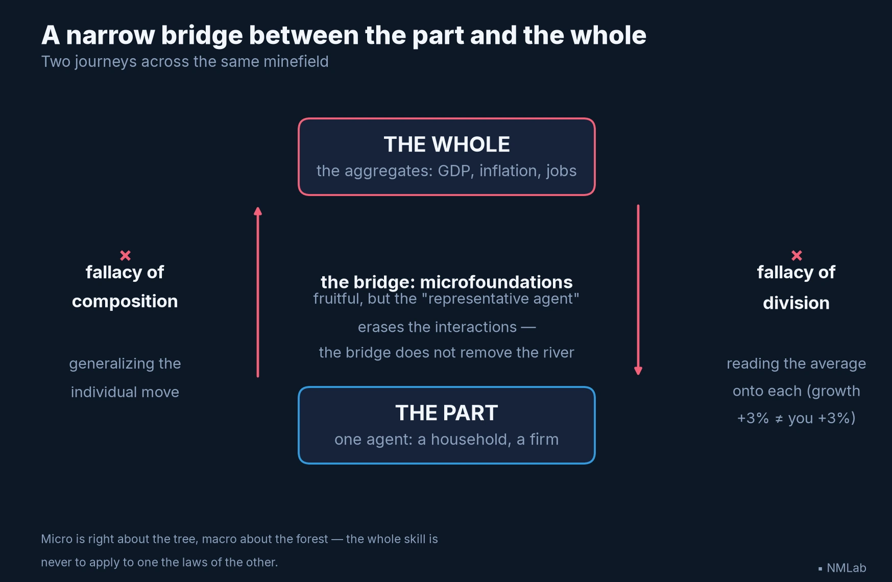 Part-whole diagram: fallacy of composition going up, division going down, microfoundations bridge